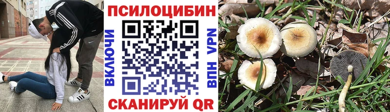 площадка формула  Старая Купавна  Псилоцибиновые грибы Psilocybe 