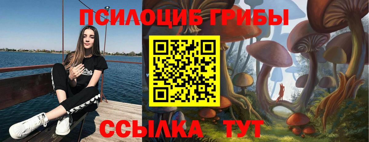 Старая Купавна  Псилоцибиновые грибы Psilocybine cubensis  Вход с VPN 